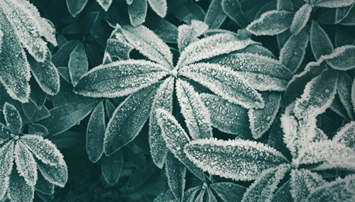 640.webp (2)_副本.jpg