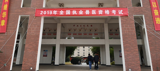 2019年全国执业兽医资格考试在欧冠顺利举行